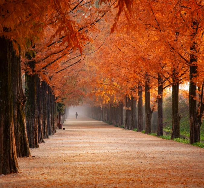 Priekšmeti ziemai, vasarai, rudenim un pavasarim