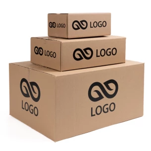 Pasta paku kartona kārba - B izmērs